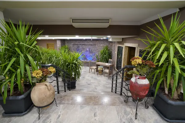 Uliv Spa & Beauty — galeri 68